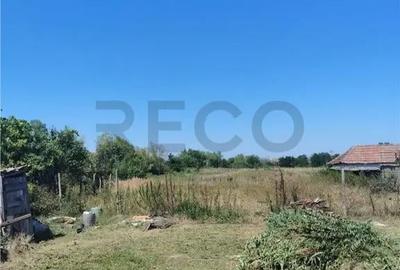 Teren de 2500 mp, în Paleu - 4