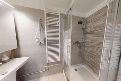 Apartament cu 3 camere decomandat, mobilat în Drumul Taberei - 11