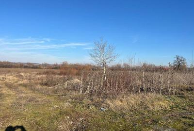 Teren intravilan, Sacadat, 27 921 mp. 9,5 Euro/mp. Comi... - 16