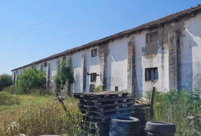 Vand hala 600 mp cu teren intravilan 9000 mp - 1