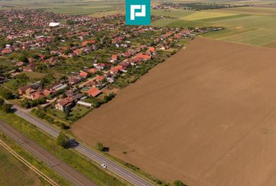 Teren agricol extravilan de 28500 mp, în Șofronea - 2