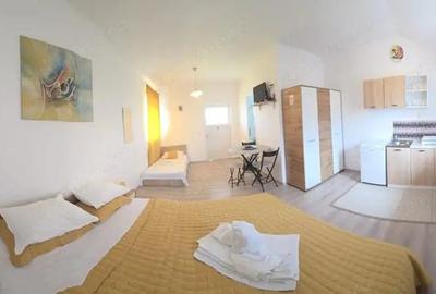 Pensiune Retrasa Ideala Petreceri Private Costinesti - Schitu - 15