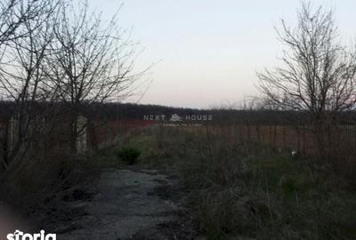 Casă cu 3 camere cu Teren 2350 Mp în Ciolpani - 9