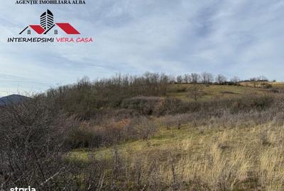 Teren de 8010 mp, în Vințu de Jos - 13