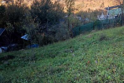 Teren de 5400 mp, în Drăgăneasa - 4