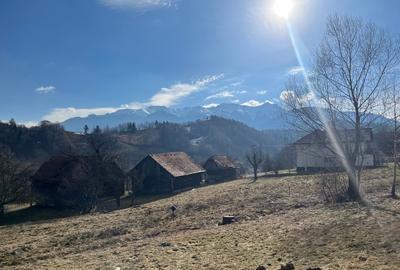 Teren intravilan 2.881 mp Șimon - Vedere panoramică Bucegi - Utilități incluse - 14