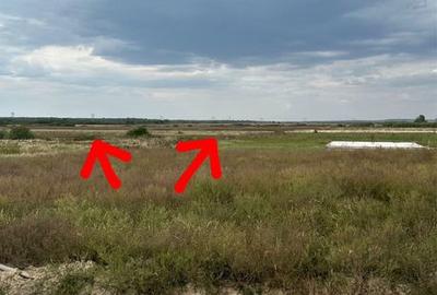 Spațiu comercial, în Sânmartin - 5