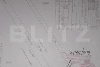 Teren de 8700 mp, în Rovine