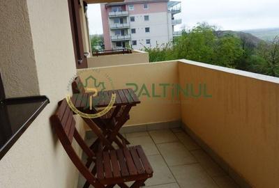 Apartament cu 2 camere decomandat, mobilat în Calea Poplăcii - 9