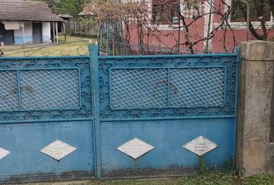 Casa si gradina Casa si gradina - 1