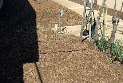 Casă cu Teren 318 Mp în Central