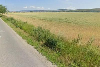 Teren de 44000 mp, în Bod - 1