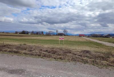 Teren Construcții intravilan de 2810 mp, în Sineu - 2