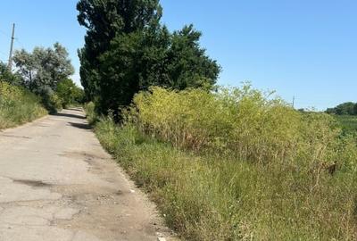 Teren intravilan, 5000 MP, Isalnita - 2