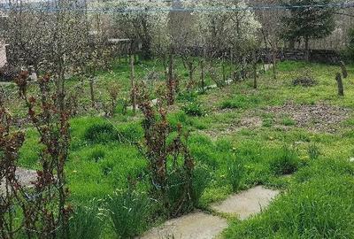 Casă în Racovițeni - 6
