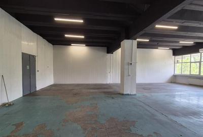 Spațiu comercial, de 270 mp, în Theodor Pallady - 5