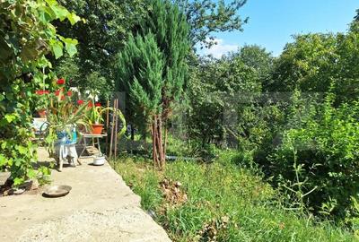 Casa 3 camere, 129mp, zona Viisoara , teren 1240mp - 12