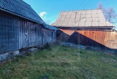 Casa tip duplex cu gradina si anexe, plus teren, 800 mp, Belis - 2