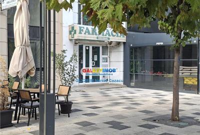 Decebal Spatiu comercial de parter 30 mp etaj 28 mp - 13