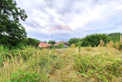 Casă / Vilă cu 2 camere de vânzare - 8