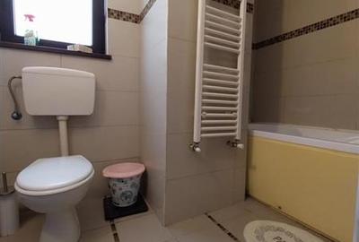 Apartament cu 2 camere semidecomandat, mobilat în Nicolae Grigorescu - 9