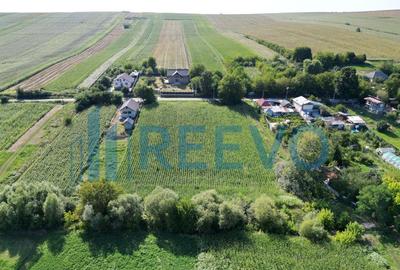 Teren intravilan de vanzare, Sat Bogdan?ti, Com. Traian - 8