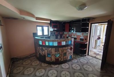 Casă cu 3 camere în Valea Crișului - 4