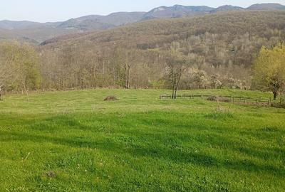 Teren de 8000 mp, în Meteș - 14