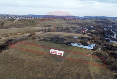 Teren 2925 mp comuna Mitocu Dragomirnei - 3