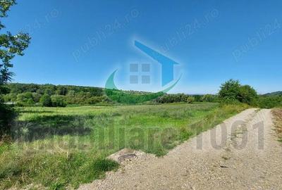 Teren intravilan 6300 mp, Carbunari, parcelat, acces la doua drumuri publice - 3