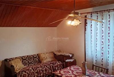 Casa individuala de vanzare in Berzasca, jud. Caras-Severin - 5