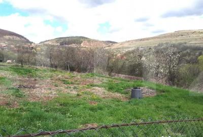 Teren de 800 mp, în Central - 5