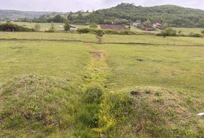 Teren de 2145 mp, în Hidiș - 4