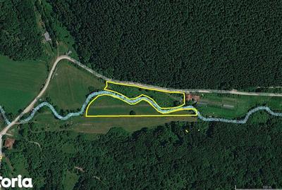Teren de 6000 mp, în Vețel - 4