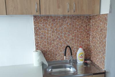 Inchiriere garsoniera aflata in Sofia Residence - 3