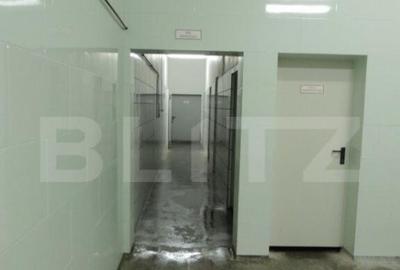 Cladire de vanzare (fosta fabrica de lactate) - 31