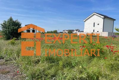 Teren intravilan in KM 5, la VETERANI - PRELUNGIREA TRACTORULUI - 18