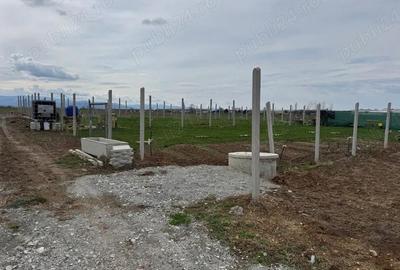 Spațiu comercial, în Șelimbăr - 4