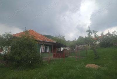 Vand casa supraf 60 Mp,curte 810 Mp,teren extravilan aprox 6000 Mp i Vand casa supraf 60 Mp,curte 810 Mp,teren extravilan aprox 6000 Mp i - 2
