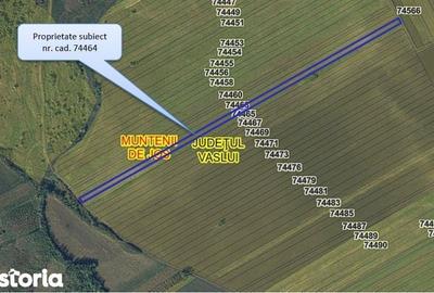 Teren de 24200 mp, în Muntenii de Jos - 5
