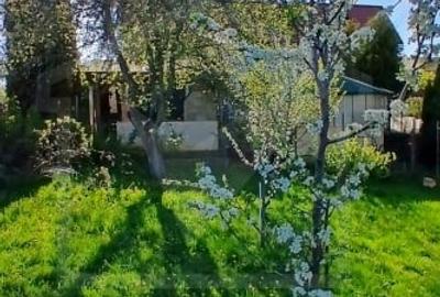 Casă individuală cu 5 camere cu Teren 800 Mp în Ardeova - 27