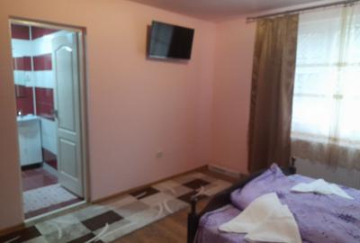 Casă cu 4 camere cu Teren 1400 Mp în Silvașu de Jos - 4