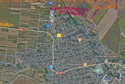 Teren intravilan 9970 mp, com. Chirnogi, jud. Calarasi (la  50 km de Bucuresti) - 2