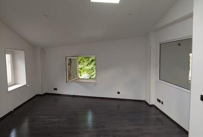 Zona Eminescu Dacia S+P+1+M  290 mp utili zona de birouri - 3