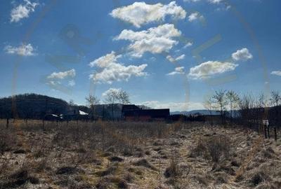 Teren Cicanesti Arges, la 10 KM de Transfagarasan - Comision 0% - 3