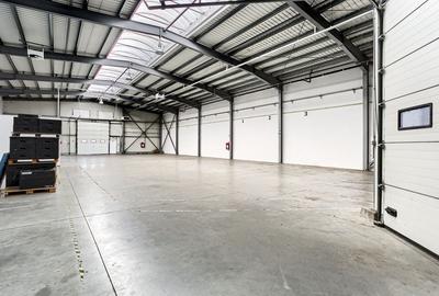 Hală industrială 727 mp Arad - 3