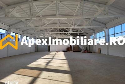 Spațiu comercial, de 1,800 mp, în Xenia - 14