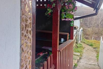 Casă cu 3 camere în Mureșeni - 2