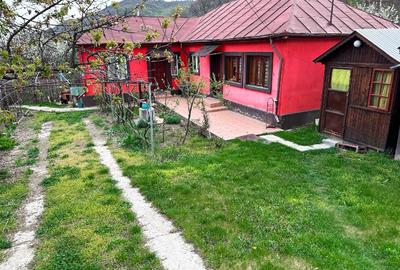 Casă de vânzare într-o zonă superbă, liniștită, aproape de munte! - 1