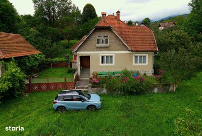 Teren de 4000 mp, în Bran - 6